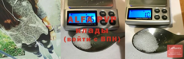 дмт Новокубанск