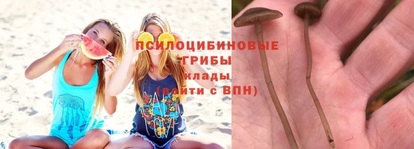 мдма Новозыбков