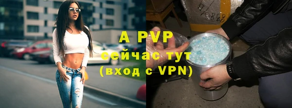 дмт Новокубанск