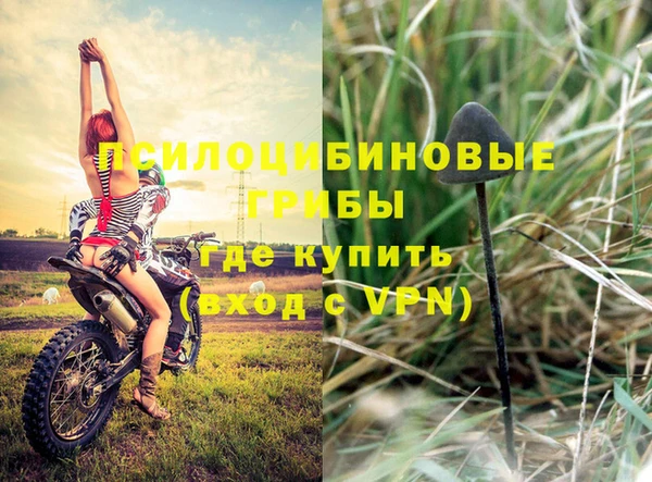 дмт Новокубанск