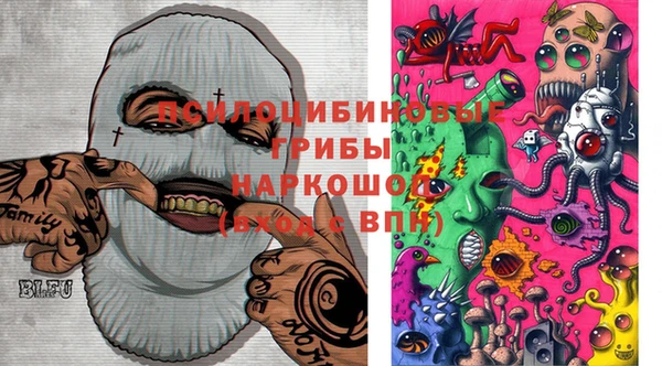 мдма Новозыбков