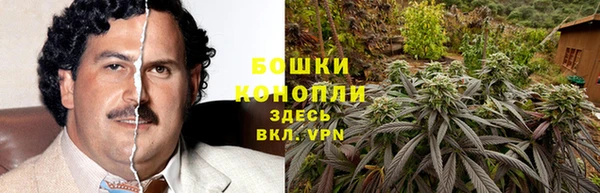 мдма Новозыбков