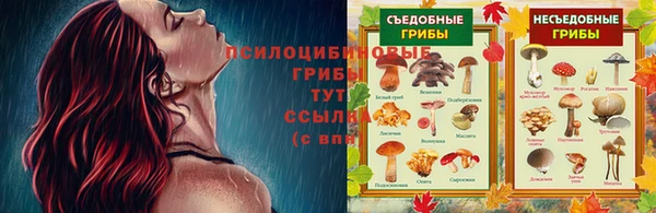 mdma Новодвинск